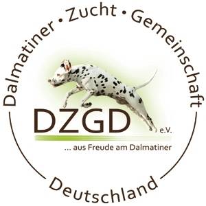 Dalmatiner de Salmeron - F - Wurf | Dalmatinerzuchtstätte de Salmeron