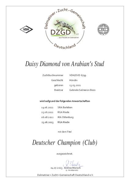 Dalmatiner de Salmeron - Daisy Diamond von Arabian's Stud