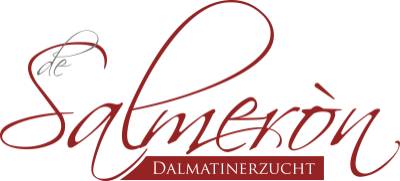 Dalmatiner de Salmeron - I - Wurf | Dalmatinerzuchtstätte de Salmeron