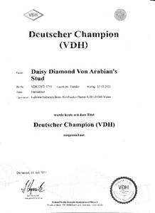 Daisy's Urkunde Deutscher Champion VDH 