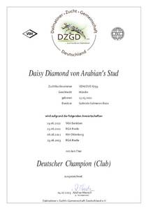Daisy's Urkunde Deutscher Champion Club DZGD 
