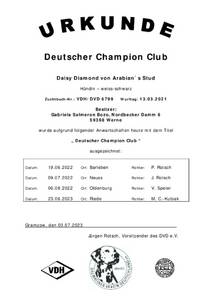 Daisy's Urkunde Deutscher Champion Club DVD